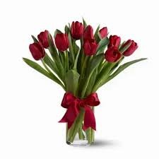 *Radiantly Red Tulips