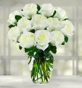 12 WHITE ROSES IN VASE