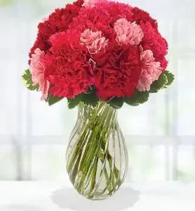 Romantic Carnation Bouquet